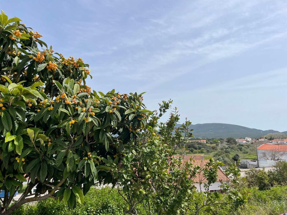 فيلا Casa Lino Pedreiras de Baixo المظهر الخارجي الصورة
